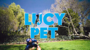 Lucy Pet Stunt Dog